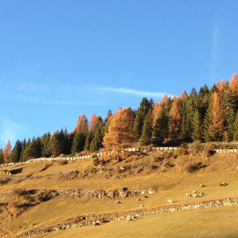 Agriturismo Maso Larciunei เซลวาดีวัลการ์เดนา ภายนอก รูปภาพ